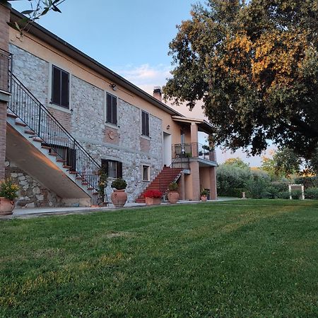 Agriturismo San Giorgino 格罗塞托 外观 照片