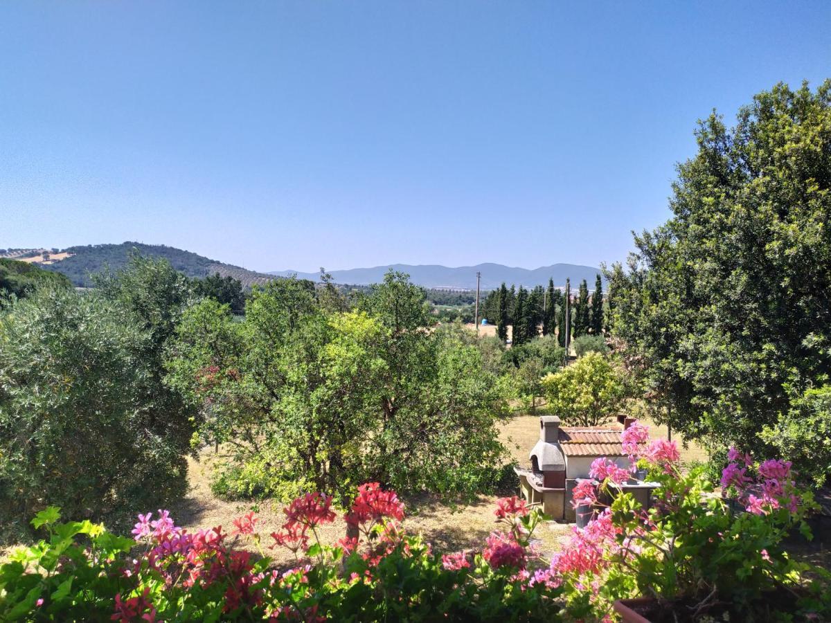 Agriturismo San Giorgino 格罗塞托 外观 照片