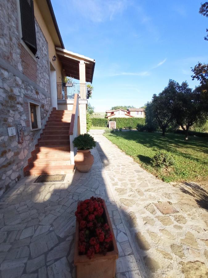 Agriturismo San Giorgino 格罗塞托 外观 照片