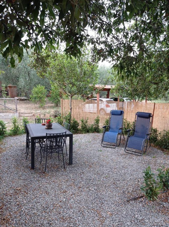 Agriturismo San Giorgino 格罗塞托 客房 照片