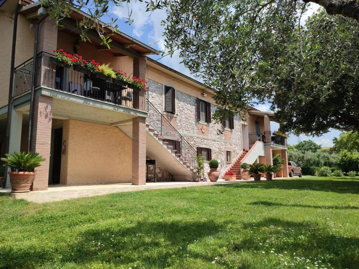 Agriturismo San Giorgino 格罗塞托 外观 照片