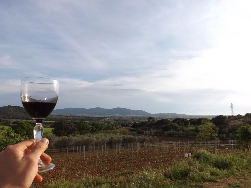 Agriturismo San Giorgino 格罗塞托 外观 照片